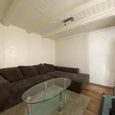 Maison T3 Cosy A 2 Minutes De Geneve Collonges-sous-Saleve Zewnętrze zdjęcie
